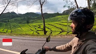 BULE berkunjung ke kebun teh Ciwidey, Bandung 😱