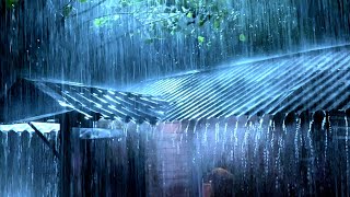 Under 3 Minutes to Night Sleep: Torrential Rain on Tin Roof & Powerful Thunder Sounds at Night