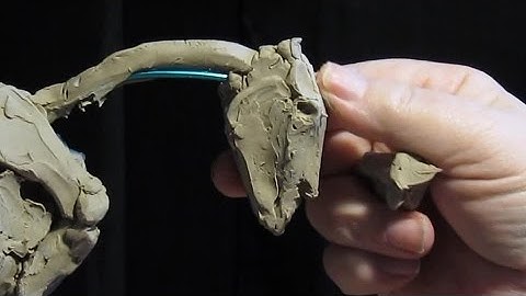 My Instructional DVD on Creating a Horse   Starting the head and Neck