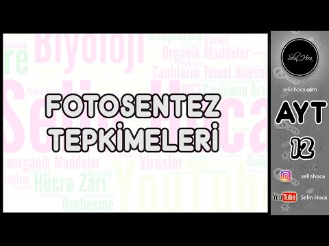 Video: Fotosentez sırasında su bölünmesi gerçekleşmezse ne olur?