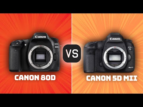 Canon EOS 5D Mark II と 430EX その他セット Canon EOS 5D Mark II (Body Only) - CNET