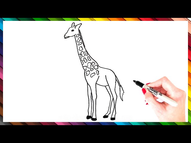 How to Draw a Baby Giraffe - HelloArtsy