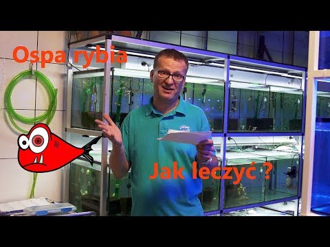 Wideo: Jak Leczyć Rybiej łuski W Akwarium?