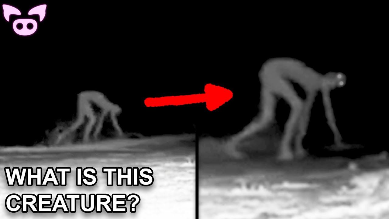 The Rake Sightings 2022
