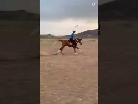 ٤ آذار ٢٠٢٥