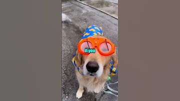 What Are Some Red Flags To Look For During A Job Interview?