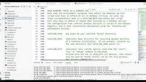 Apache Tomcat 系统精讲 Java面试必备课程