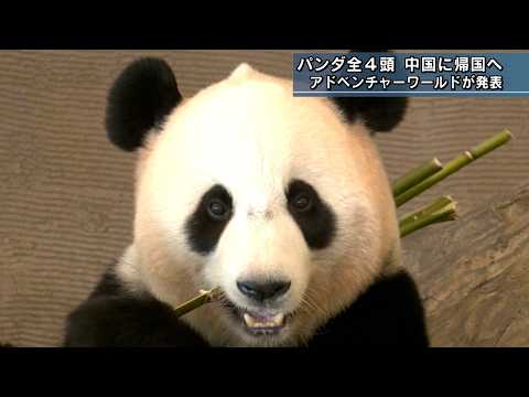 観光業に影響か パンダ全4頭 6月末ごろ中国に帰国