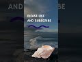 Like and Subscribe