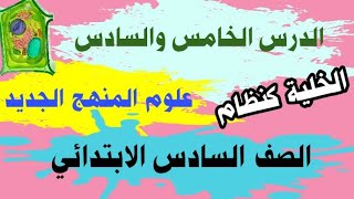 الدرس الخامس والسادس علوم الصف السادس | أساسيات الخلية بالتفصيل | كيف تعمل الخلية كنظام؟ درس مهم جدا