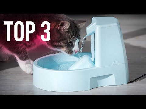 Vidéo: La meilleure fontaine à chat: Que rechercher dans une fontaine à chat?