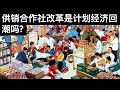 供销合作社改革是计划经济回潮吗?/中国支持阿根廷的时候, 英国还没醒悟(字幕)/王剑每日观察/20210629