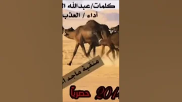 شيله ياهل ستين 