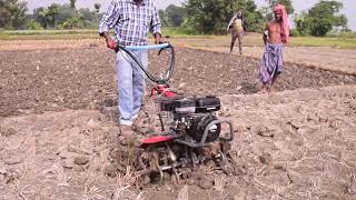 Pubert Maestro with deep tines