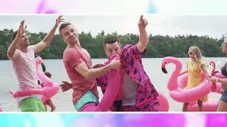 Barry Fest ft. Tim Schalkx - Ferry De Roze Flamingo chords