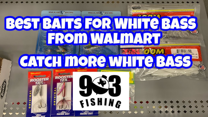 BEST Baits for White Bass! Sand Bass Run! Which Lure to Use for White Bass?  Lures for Creek Fishing 