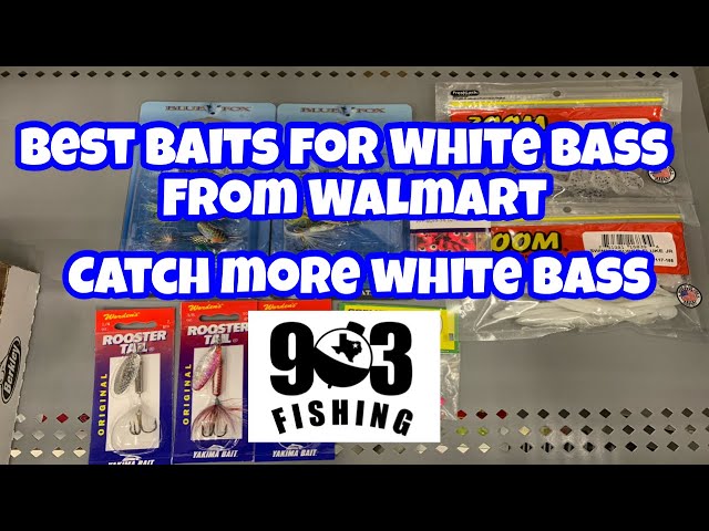 Best Lures For White Bass Fishing & Tips, White Bass Run 2021