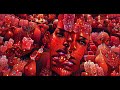 ALJAMAR - Only For Tonight