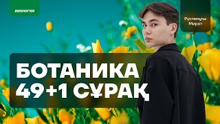 картинка: БОТАНИКА/МИРАТ АҒАЙ