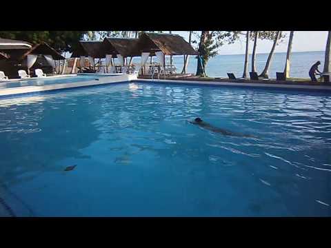Patio Victoria Swim