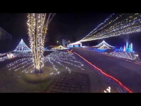 花と光のクリスマス－兵庫県立フラワーセンター