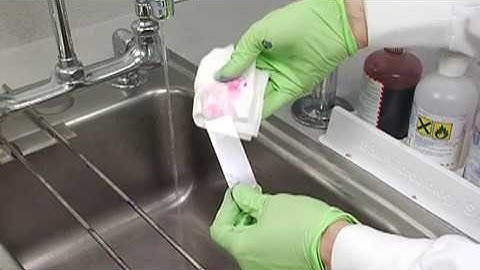 6 Streaking for Isolation:  Gram Staining