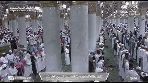 صلاة المغرب المسجد النبوي الشيخ عبدالله القرافي || الخميس 24 ذو القعدة 1446هـ سورة البقرة