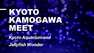 #35 Kyoto Travel Guide 2023 Kyoto Aquarium and Jellyfish Wonder