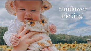 Sunflower Picking with Four Month Twins!