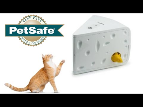 cheese cat toy