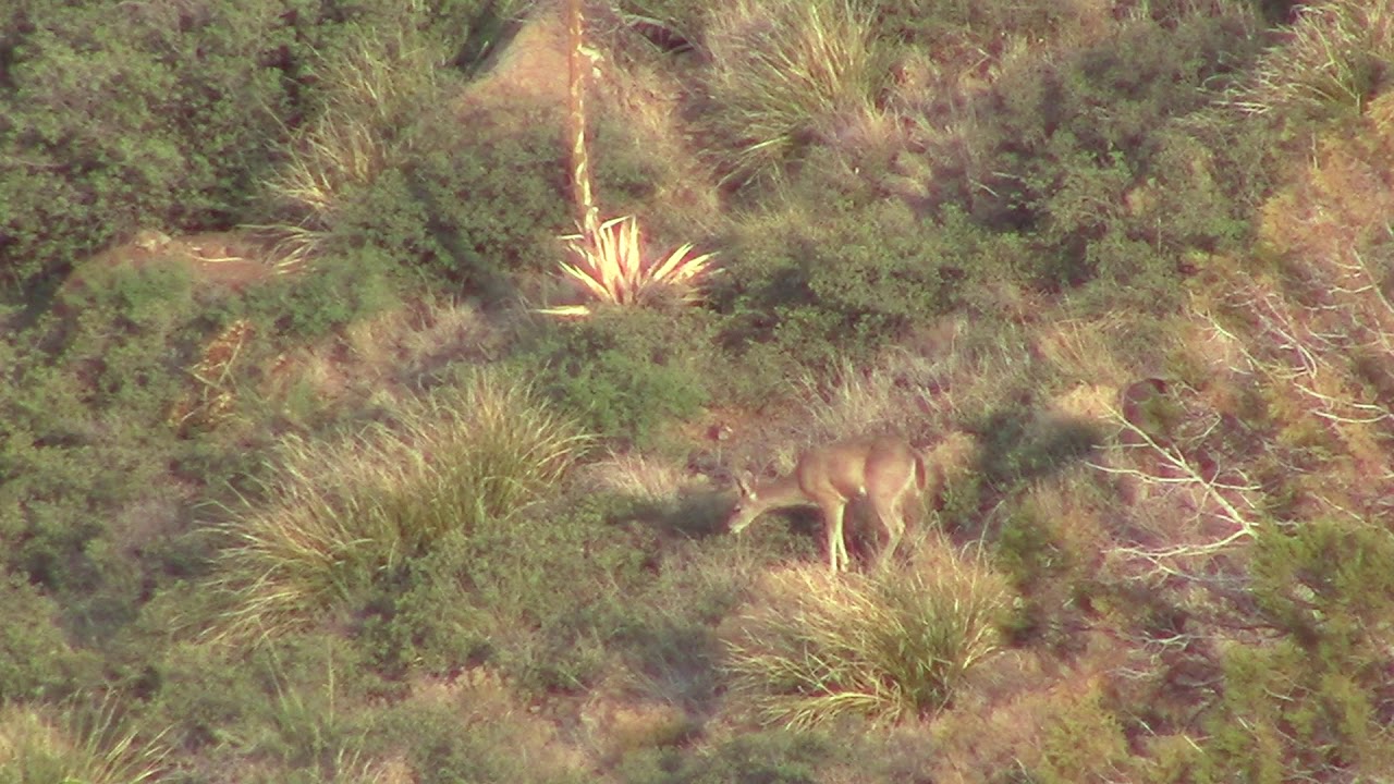 Social Media Arizona DIY Hunts United States