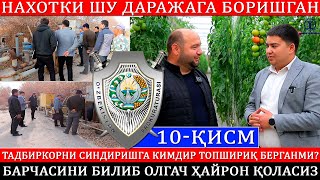 10-Қисм Иссиқхона иши бўйича  суриштирув. Барчаси очилиб қолишини ўйлашмаган хатто.