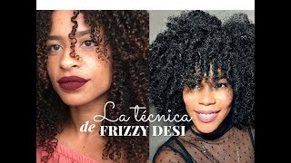 Probando la técnica de definición  de Frizzy Desi.