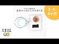 5,6ヶ月ごろから 昆布かつおだし汁の作り方＆フリージング【たまひよ公式】