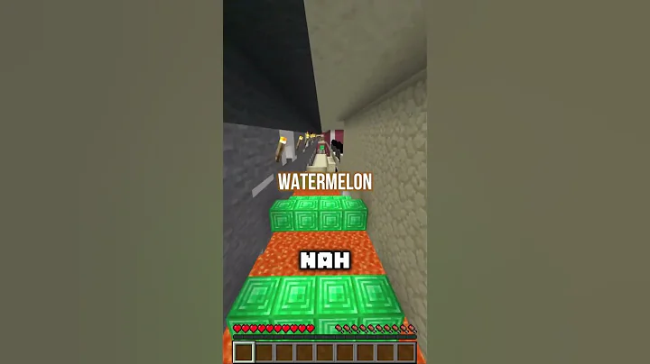 Minecraft's Craziest Villager Chase...