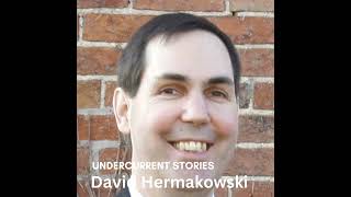 Renaissance Man - Building A New Future:  David Hermakowski