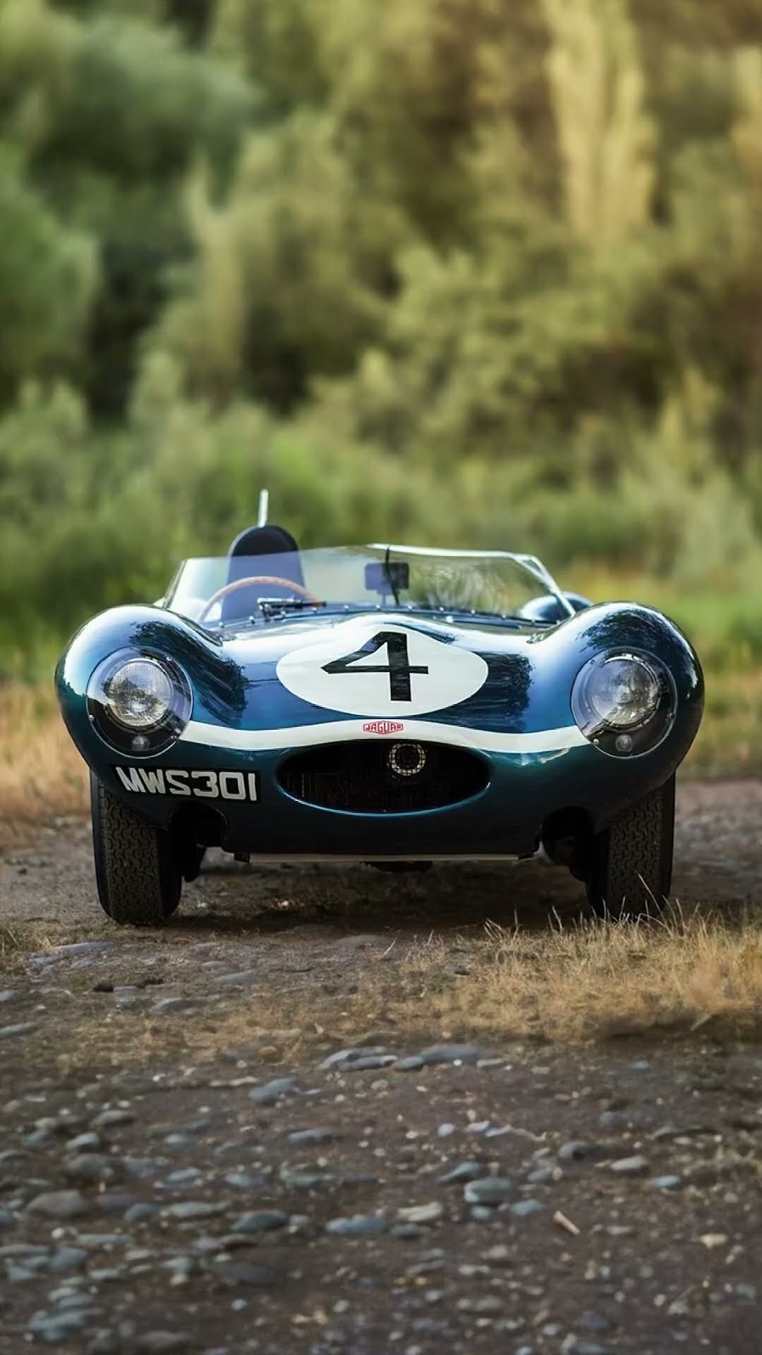 ジャガーD-Type 1956 Le Mans Winner The 1956 Le Mans-winning Jaguar D-Type sells for €19.21