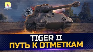 ПУТЬ К ОТМЕТКАМ TIGER 2