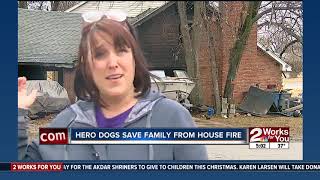 Dogs save family from house fire