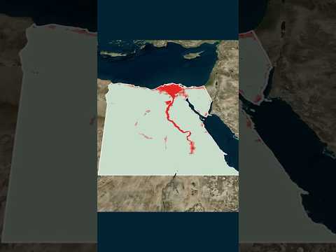 ليه مصر أغرب بكتير مما تتخيل