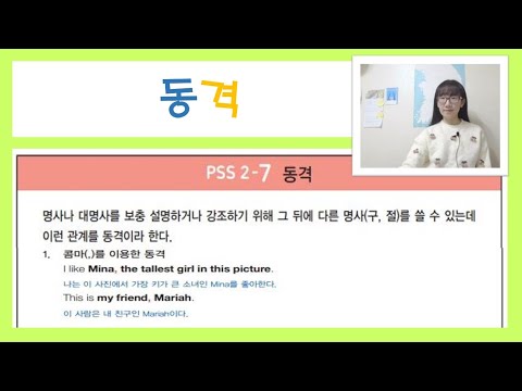 [Chapter5] PSS2-7 동격 [중학영문법3800제 2학년]