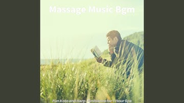 Number One Koto and Strings - Vibe for Deep Tissue Massage