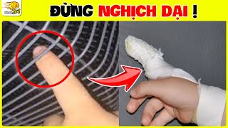 💧Nhanh Trí Đứng Hình Trước 11 Bí Ẩn Bể Bơi Nhất Định Bạn Phải Biết Để Bảo Vệ Cả Nhà