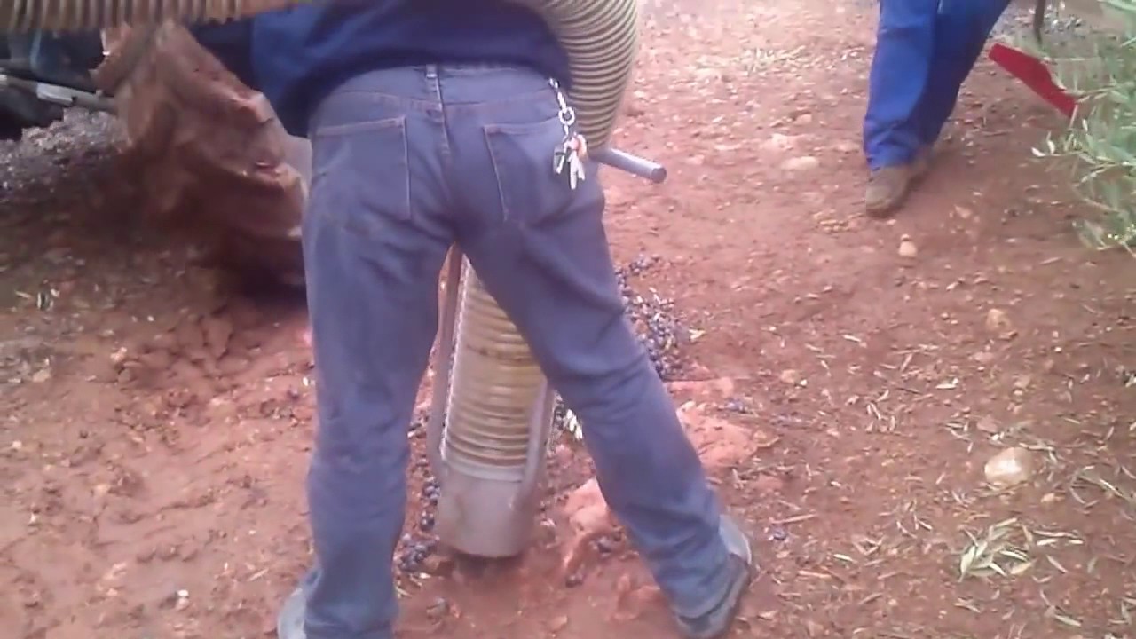 ASPIRADORA LIMPIADORA DE ACEITUNAS TADEL