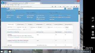 Open Site Explorer