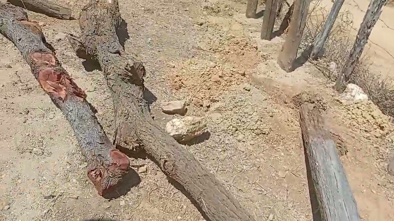 Construindo curral 2 etapa sítio velho, Igaracy PB.