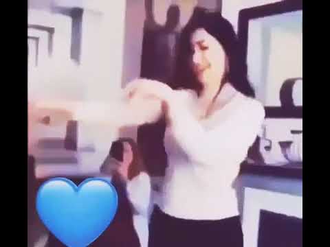 مثل المهره الاصيله بأول الخيل