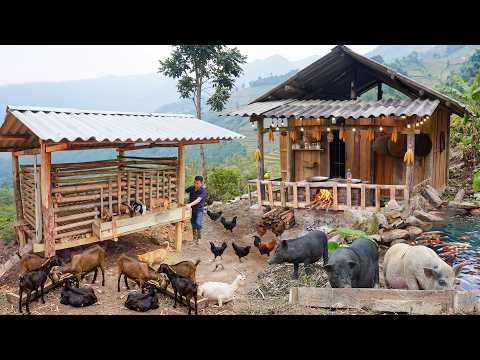 The Incredible Transformation of Stone Plateau After 113-Days of Renovation by Retired Teacher