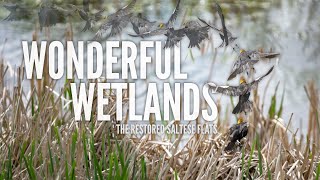 Northwest Profiles - Wonderful Wetlands: The Restored Saltese Flats