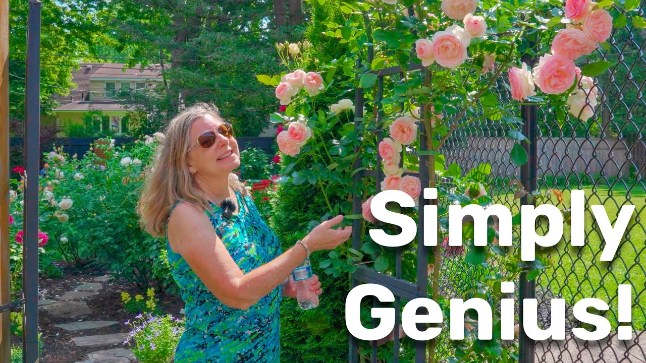 Ее простой трюк превращает обычный задний двор в нечто совершенно необычное.